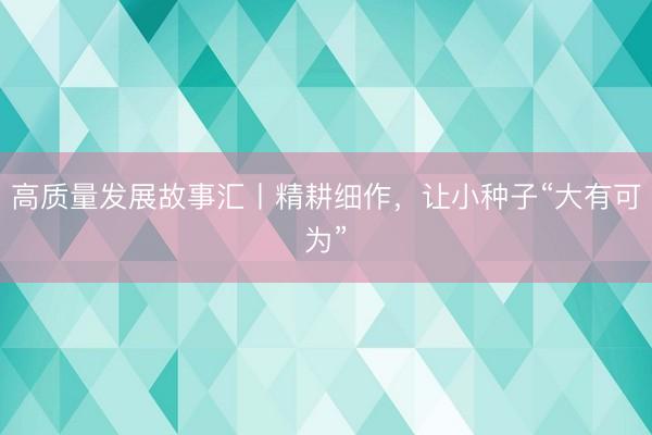 高质量发展故事汇丨精耕细作，让小种子“大有可为”