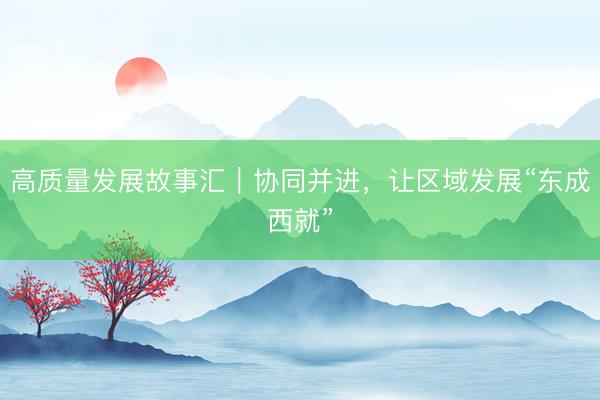 高质量发展故事汇｜协同并进，让区域发展“东成西就”