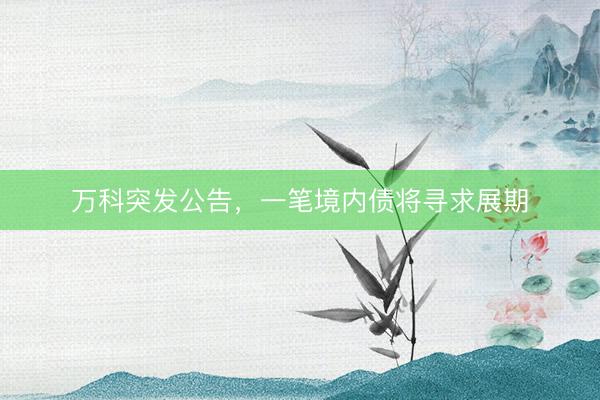 万科突发公告，一笔境内债将寻求展期