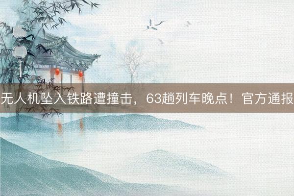 无人机坠入铁路遭撞击，63趟列车晚点！官方通报