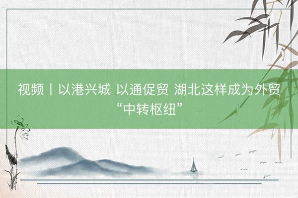 视频丨以港兴城 以通促贸 湖北这样成为外贸“中转枢纽”