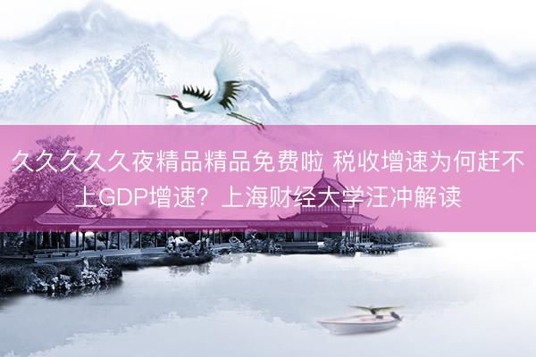 久久久久久夜精品精品免费啦 税收增速为何赶不上GDP增速？上海财经大学汪冲解读