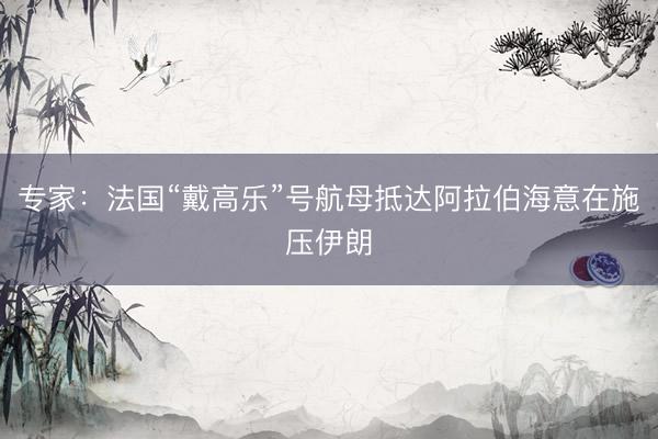 专家:法国“戴高乐”号航母抵达阿拉伯海意在施压伊朗
