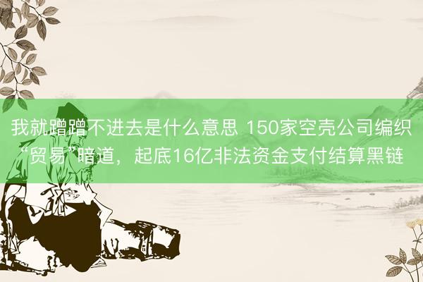 我就蹭蹭不进去是什么意思 150家空壳公司编织“贸易”暗道，起底16亿非法资金支付结算黑链