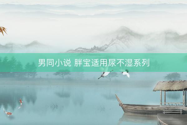 男同小说 胖宝适用尿不湿系列