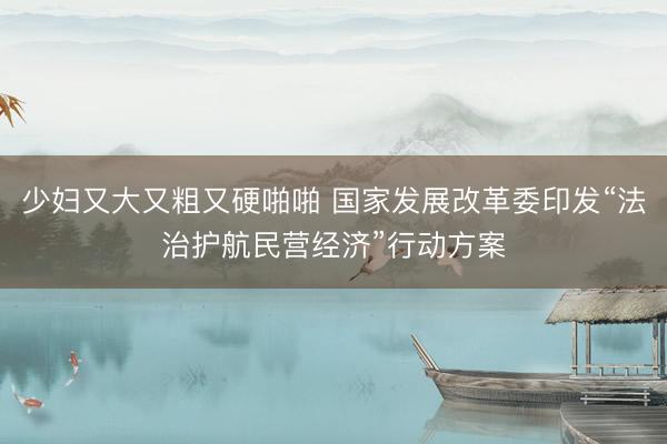 少妇又大又粗又硬啪啪 国家发展改革委印发“法治护航民营经济”行动方案