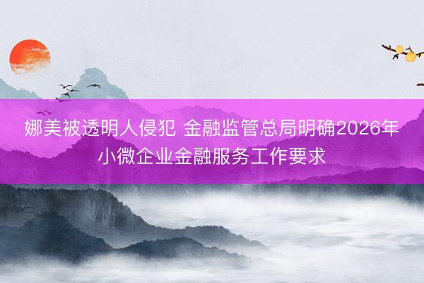 娜美被透明人侵犯 金融监管总局明确2026年小微企业金融服务工作要求
