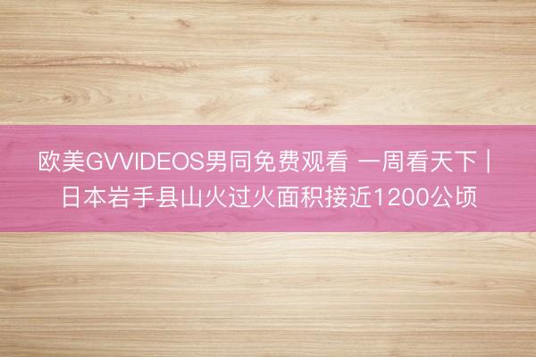欧美GVVIDEOS男同免费观看 一周看天下 | 日本岩手县山火过火面积接近1200公顷