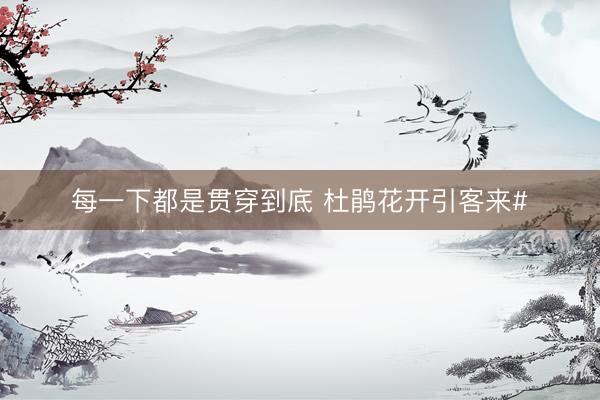 每一下都是贯穿到底 杜鹃花开引客来#