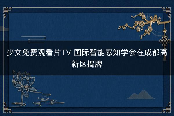 少女免费观看片TV 国际智能感知学会在成都高新区揭牌