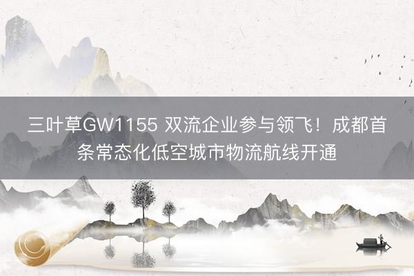 三叶草GW1155 双流企业参与领飞！成都首条常态化低空城市物流航线开通