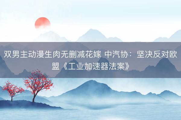 双男主动漫生肉无删减花嫁 中汽协：坚决反对欧盟《工业加速器法案》