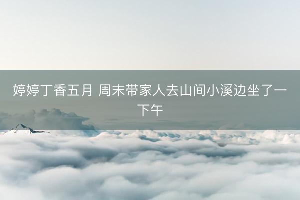 婷婷丁香五月 周末带家人去山间小溪边坐了一下午