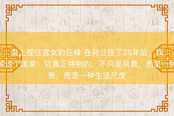 皇上捏住宫女的巨峰 在荷兰住了25年后，我越来越理解这个国家：它真正特别的，不只是风景，而是一种生活尺度