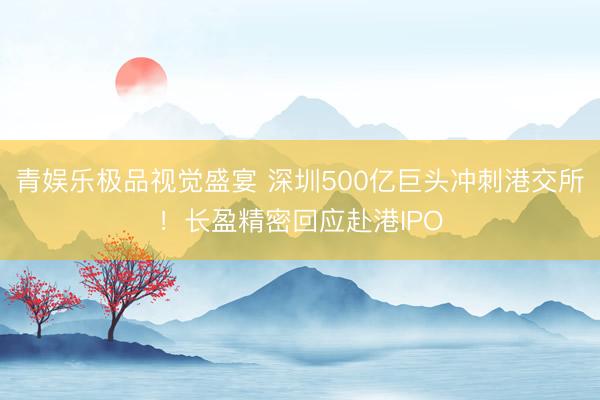 青娱乐极品视觉盛宴 深圳500亿巨头冲刺港交所!长盈精密回应赴港IPO