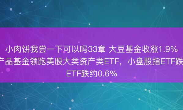 小肉饼我尝一下可以吗33章 大豆基金收涨1.9%，与农产品基金领跑美股大类资产类ETF，小盘股指ETF跌约0.6%