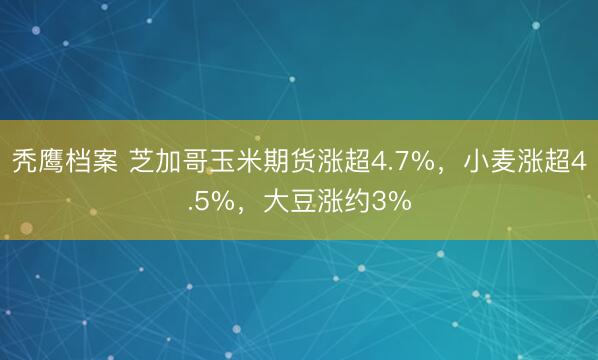 秃鹰档案 芝加哥玉米期货涨超4.7%，小麦涨超4.5%，大豆涨约3%