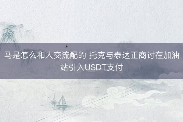 马是怎么和人交流配的 托克与泰达正商讨在加油站引入USDT支付
