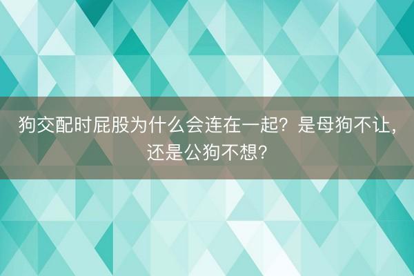 狗交配时屁股为什么会连在一起？是母狗不让，还是公狗不想？