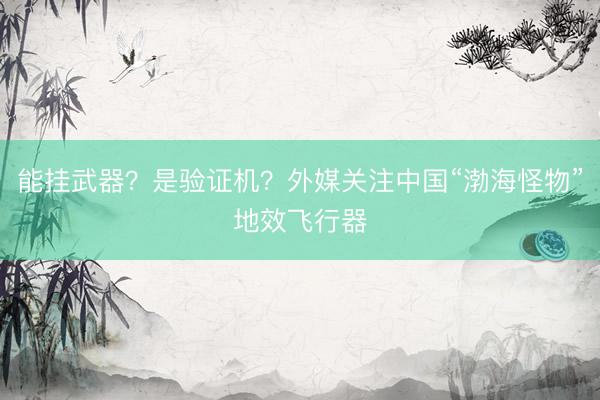 能挂武器？是验证机？外媒关注中国“渤海怪物”地效飞行器