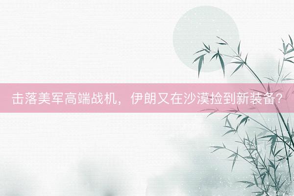 击落美军高端战机，伊朗又在沙漠捡到新装备？