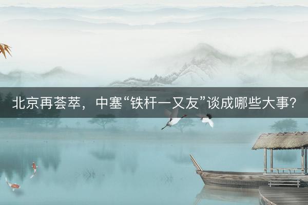 北京再荟萃,中塞“铁杆一又友”谈成哪些大事?