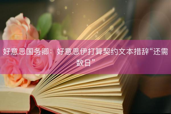 好意思国务卿：好意思伊打算契约文本措辞“还需数日”