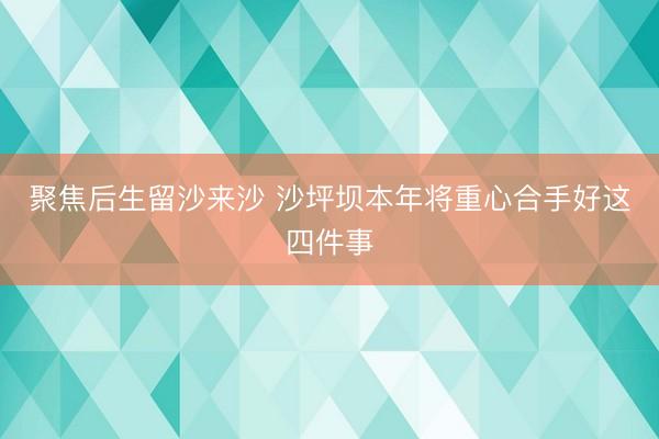 聚焦后生留沙来沙 沙坪坝本年将重心合手好这四件事