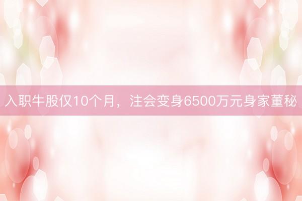 入职牛股仅10个月，注会变身6500万元身家董秘
