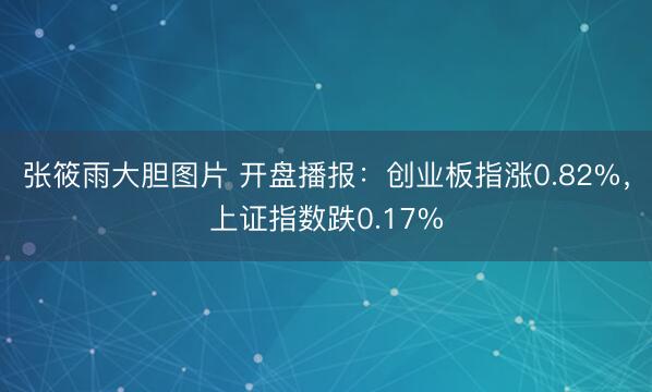 张筱雨大胆图片 开盘播报：创业板指涨0.82%，上证指数跌0.17%