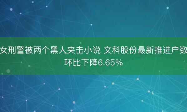 女刑警被两个黑人夹击小说 文科股份最新推进户数环比下降6.65%