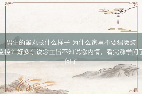 男生的睾丸长什么样子 为什么家里不要猖厥装监控？好多东说念主皆不知说念内情，看完涨学问了