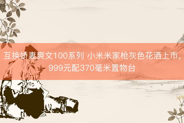 互换娇妻爽文100系列 小米米家枪灰色花洒上市，999元配370毫米置物台