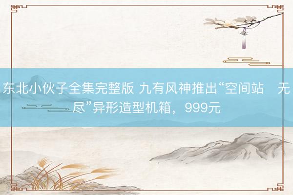 东北小伙子全集完整版 九有风神推出“空间站・无尽”异形造型机箱，999元