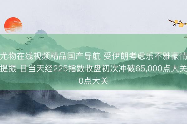 尤物在线视频精品国产导航 受伊朗考虑乐不雅豪情提振 日当天经225指数收盘初次冲破65，000点大关