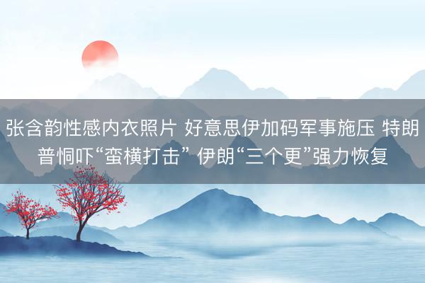 张含韵性感内衣照片 好意思伊加码军事施压 特朗普恫吓“蛮横打击” 伊朗“三个更”强力恢复