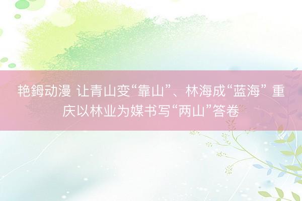 艳鉧动漫 让青山变“靠山”、林海成“蓝海” 重庆以林业为媒书写“两山”答卷