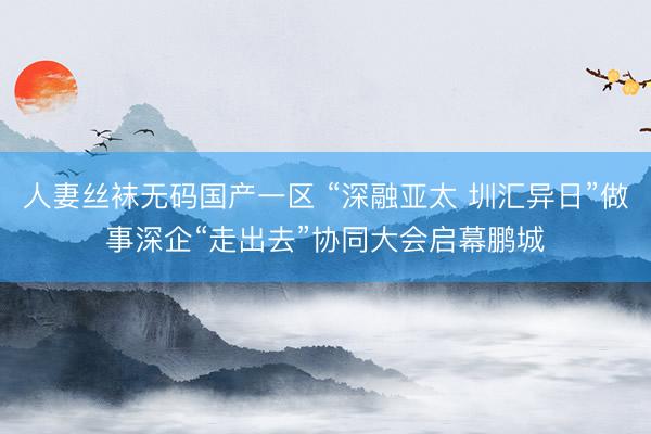 人妻丝袜无码国产一区 “深融亚太 圳汇异日”做事深企“走出去”协同大会启幕鹏城