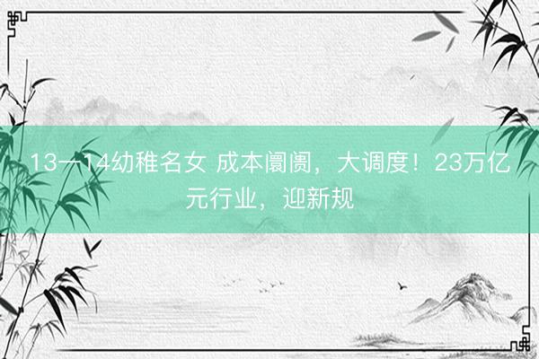 13一14幼稚名女 成本阛阓，大调度！23万亿元行业，迎新规