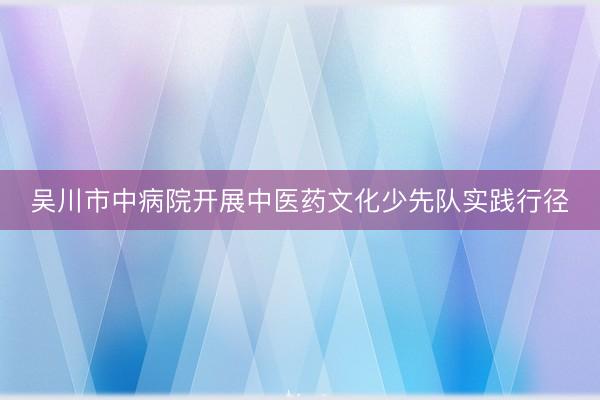 吴川市中病院开展中医药文化少先队实践行径