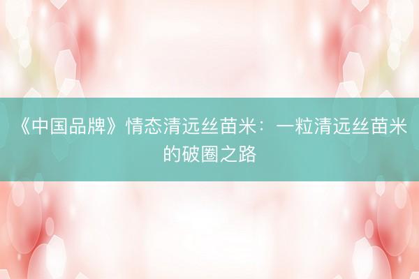 《中国品牌》情态清远丝苗米：一粒清远丝苗米的破圈之路