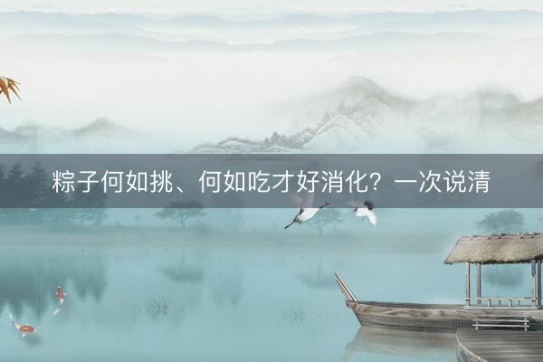 粽子何如挑、何如吃才好消化？一次说清