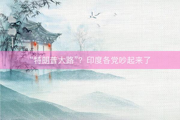“特朗普大路”？印度各党吵起来了